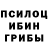 Псилоцибиновые грибы MAGIC MUSHROOMS glezis brain