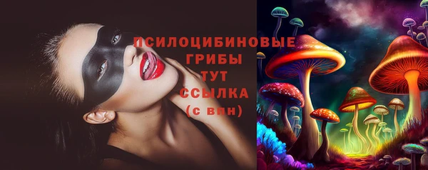 ГАЛЛЮЦИНОГЕННЫЕ ГРИБЫ Зеленокумск