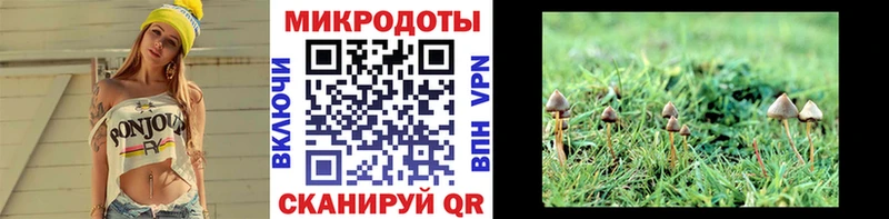 Псилоцибиновые грибы ЛСД  Пикалёво 