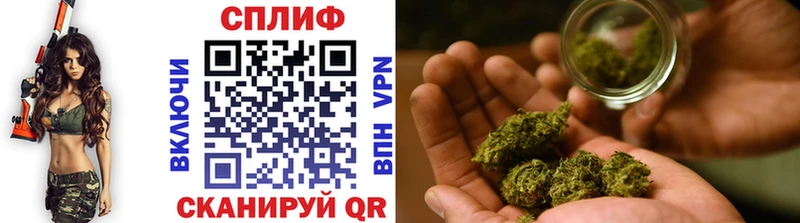 omg ссылка  Пикалёво  МАРИХУАНА Amnesia 